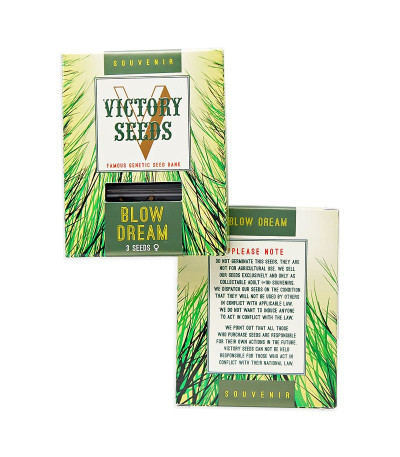 Blow Dream fem (Victory Seeds) семена конопли — изображение 2