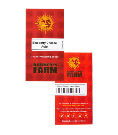 Blueberry Cheese Auto (Blue Cheese Auto) fem (Barney's Farm) — изображение 2