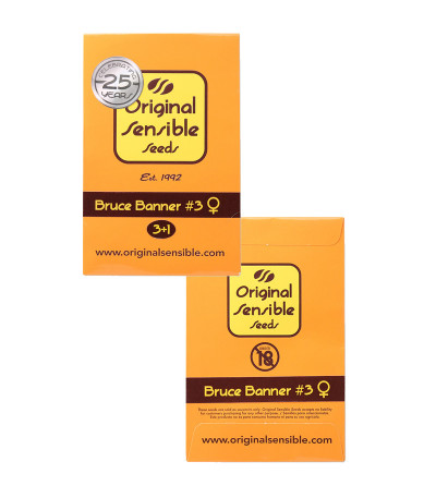 Bruce Banner #3 fem (Original Sensible Seeds) — изображение 2