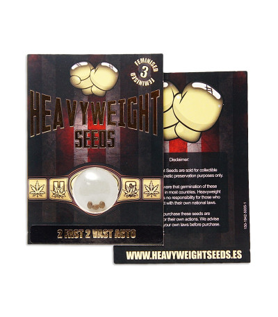 2 Fast 2 Vast auto fem (Heavyweight Seeds) — изображение 2