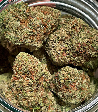 Poddy Mouth fem (Humboldt Seed Company) семена конопли — изображение 4