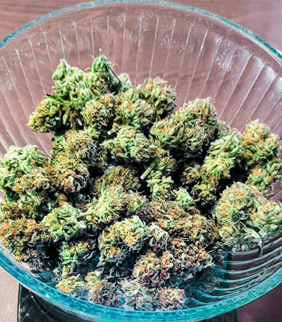 Watermelon Zkittlez Auto fem (Barney's Farm) семена конопли — изображение 7