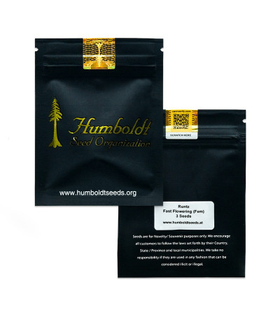 Runtz Fast Flowering fem (Humboldt Seed Organization) семена конопли — изображение 2